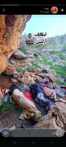 سلام صبح بخیر عزیزم با آنکه گفته بدی خدانگهدار N