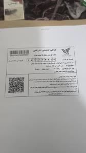 شاهین کولیوند