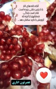 عصر بخیر 