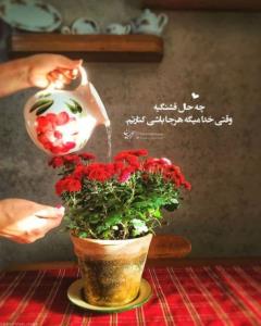 روزتون قشنگ عزیزانم🌹