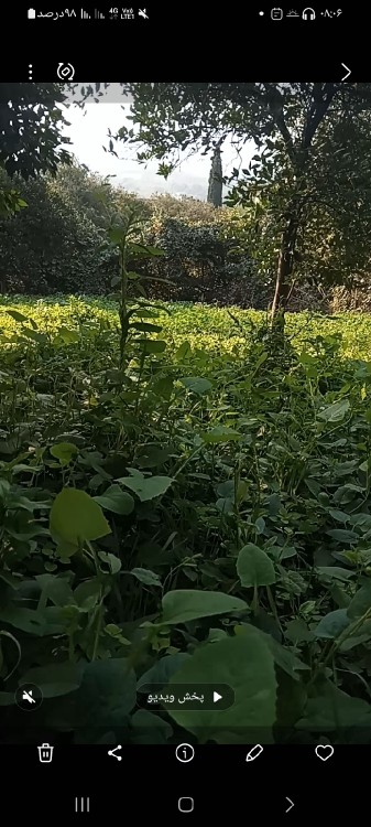 برای دل دوستان  صبح تان دل انگیزر😊😊🌹🌹