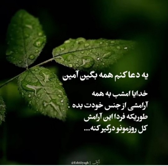 الهی آمین 🙏🏻🙏🏻🌺🌺🌺