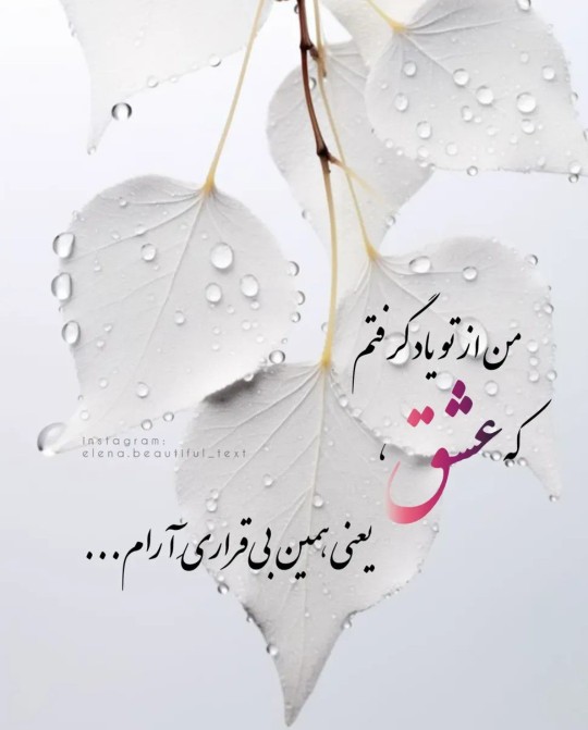 وتو به تنهای جهان منی ......m🫀