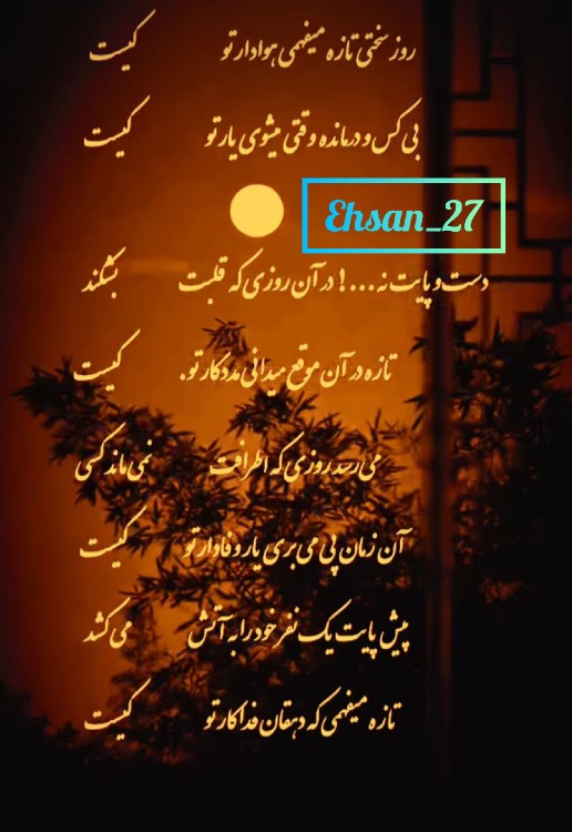 آدمها دو دسته اند 💫