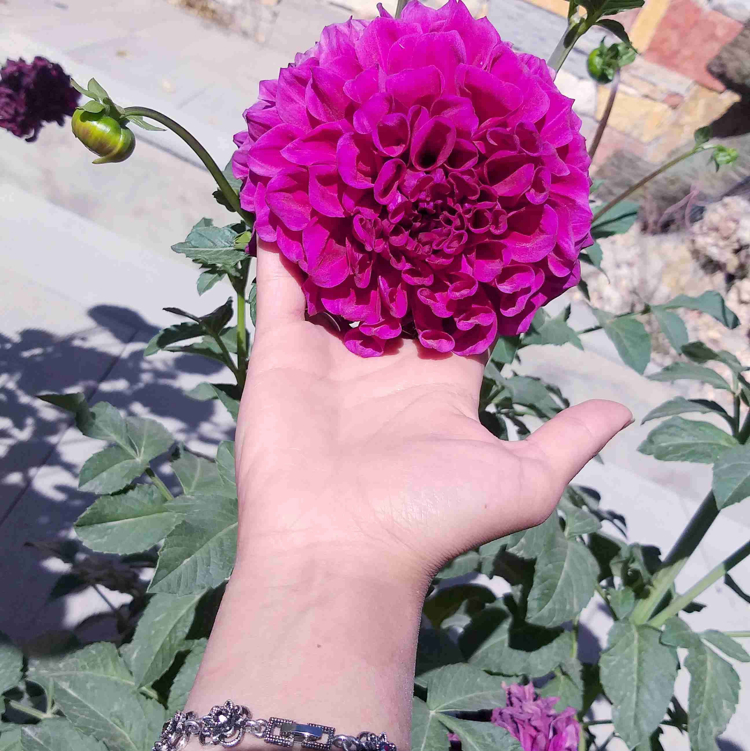 چرا خبری جدید اینطوری شده🤔🤔🤔