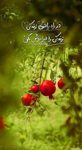 سلام مهربونا،شبتون لبریز از مهر و صفا 🙋🏻‍♂️🌙✨🌹♥️