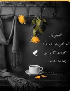 درود مهربونا... 🤞🕊🍁