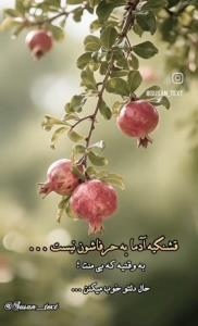 ۰۰۰۰۶