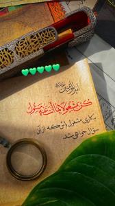 نیایش شبانه با حضـــــرت عشق ❤️❤️

خدایا🙏 
امشب دل نگرونی 