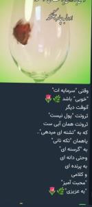 ثروت واقعی همون دل پاکی هست که خدا به ما داده 💚🌷💚🌷