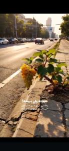 خیلی سخته خیلی