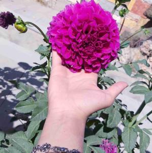 چرا خبری جدید اینطوری شده🤔🤔🤔