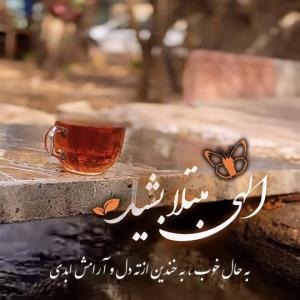سلام دوستان گل صبحتون بخیر