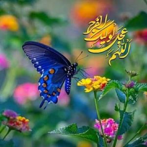 برای ظهور امام زمان یه دونه صلوات بفرستید🙋‍♂️⚘🌻🌺