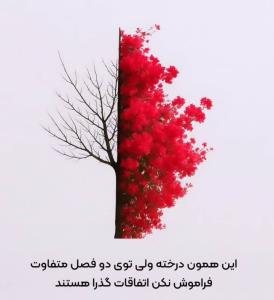 حرف حساب...