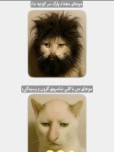 واقعا 😂