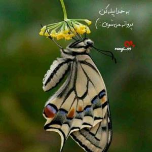 ایمان داشته باش 😊