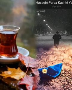 🎵🎶کاشکی یه بارون بزنه،،غم شهر و بشوره ببره🎶🎵