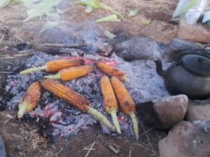 دوستان بفرمایید بلال