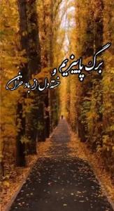 باغبان نیز نیامد پی دلداری من🍂🪷🍁🍁