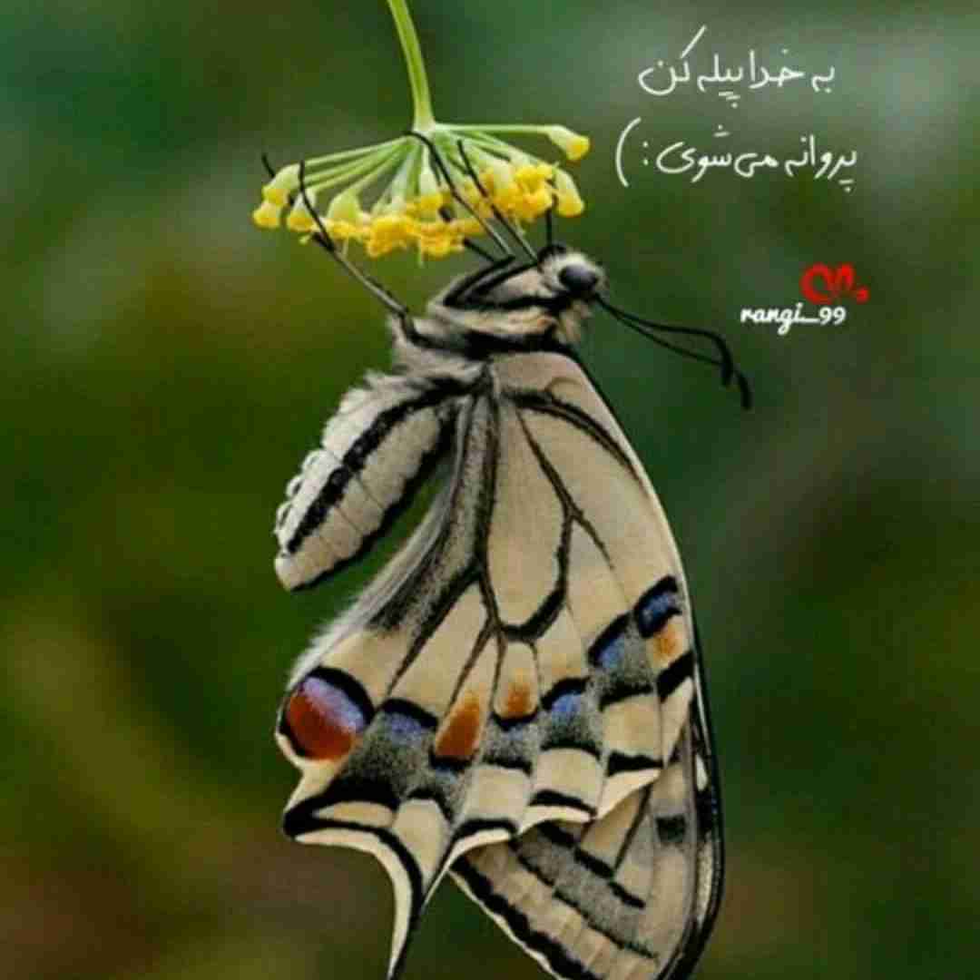 ایمان داشته باش 😊