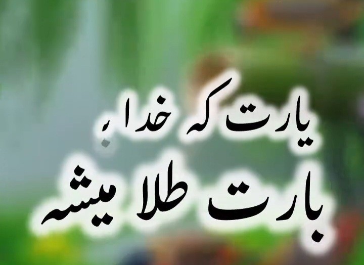 🤲🤲🤲🤲
