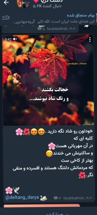 ❤️🎉🌻❤️🎉🌻