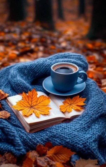 🍁🍁🍁پاییزتون قشنگ و زیبا 🍁🍁🍁