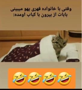 😃😂😂😂