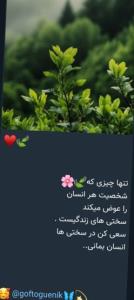 🌷🌷🌷🌷