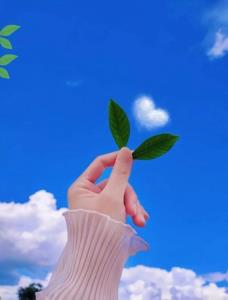 خدایا خودت پناهمون باش ما به جز تو کسی را نداریم 
