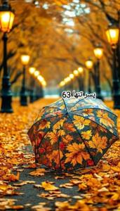 🌺🍃عصرتون پراز آرامــش و امید