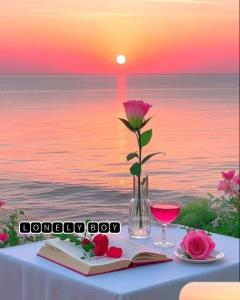 غروب زیبا ساحل دریا 