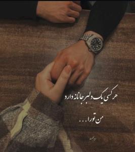 گفتند که نامحرمی و بوسه حرام است...
دل گفت که محرم تر از این