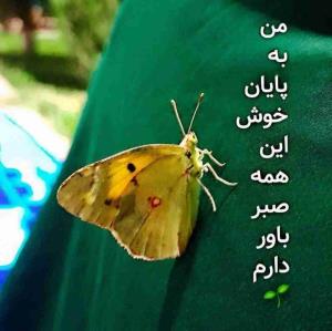 🌱شبتون پر از آرامش 🍂🍃🍁