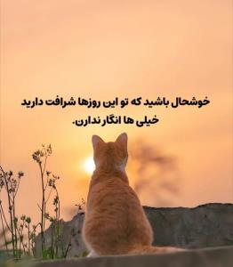 ،،