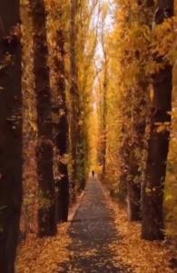 پاییز من🍁🥰