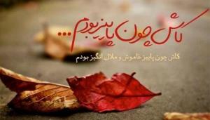 متنِ برگ