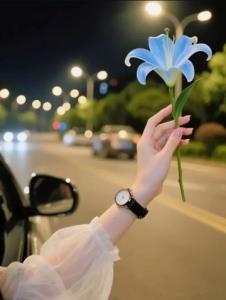 یاد گرفتم اشڪمو پنہون نڪنم💐