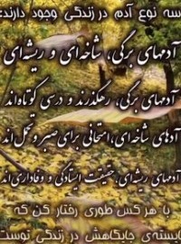 آدمها سه نوعاند