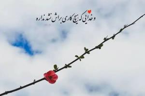 سعید🌟🌟