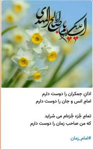 اللهم عجل لولیک الفرج یاصاحب الزمان ادرکنی 💚💚