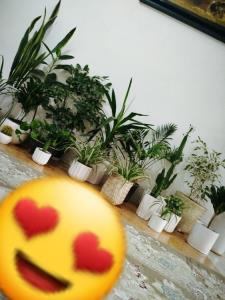 خدایا شکرت 



❤️ 