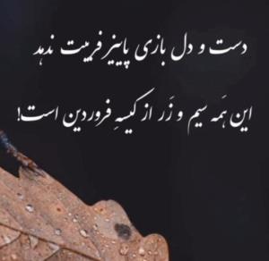 چشمِ بیدار...👇
