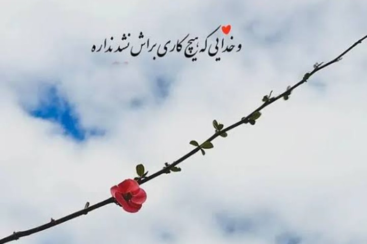 سعید🌟🌟