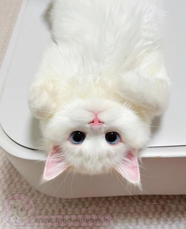 دنیای وارونه 😊☑️🌺