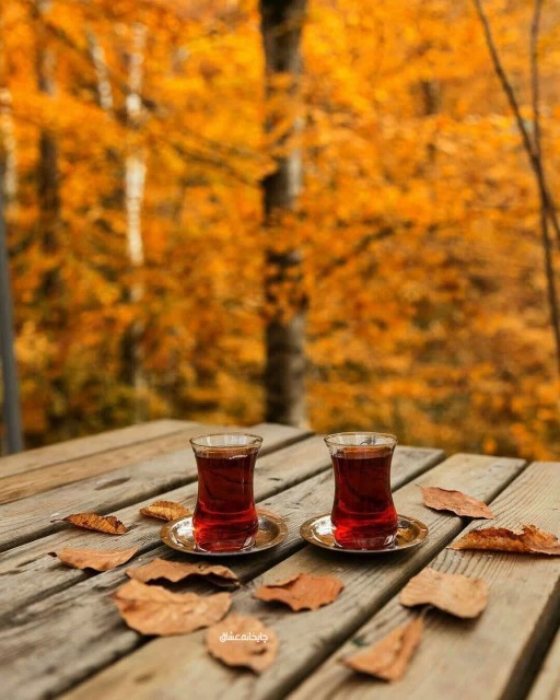 زندگی یعنی همین 
