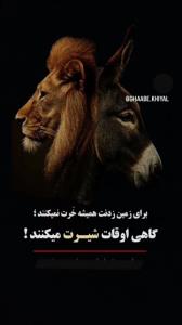 نصیحت ناب👋