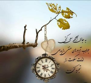 بجای انکه سعی کنی
جواب آدمهای منفی را بدی
.....