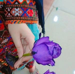 تنها زخمی که بخیه نمیخوره زخم زبونه